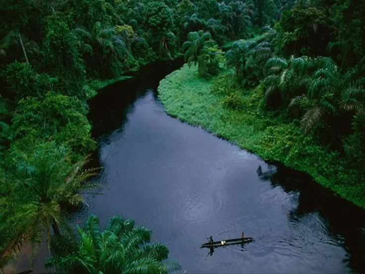 Congo Basin