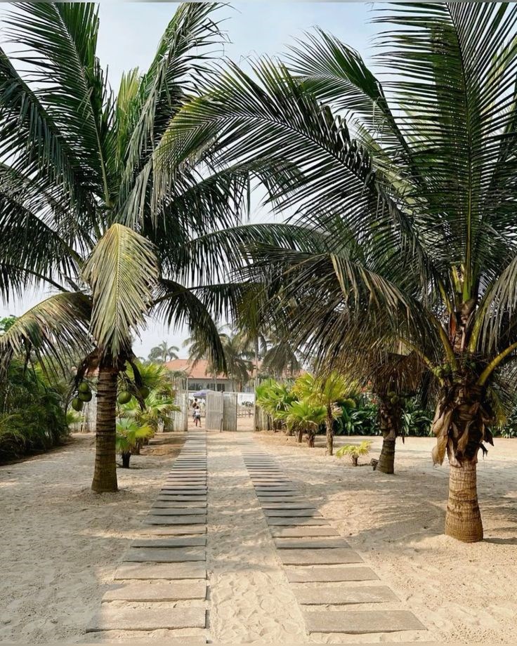 Republic of Congo , Brazzaville ????????