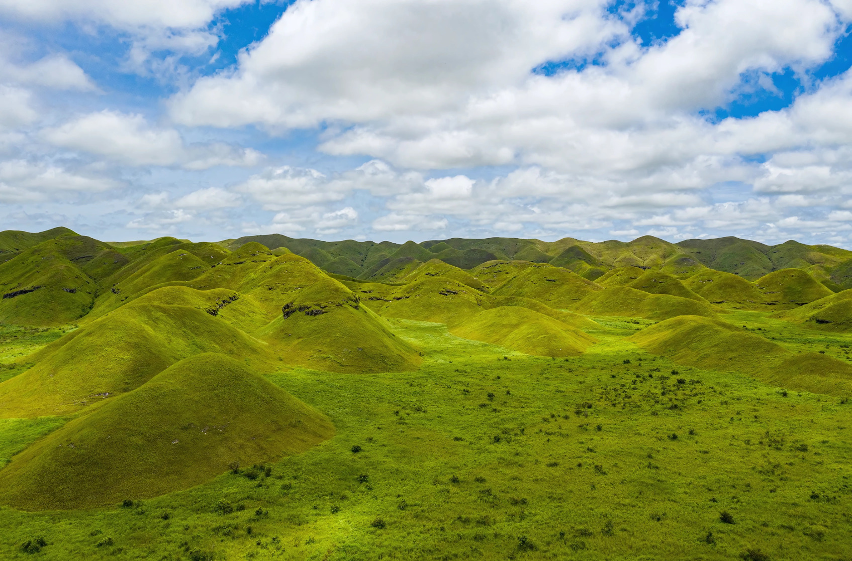 Untitled design (12)