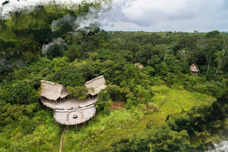 Atelier-Africa-Safaris-Congo-Brazzaville-Odzala4