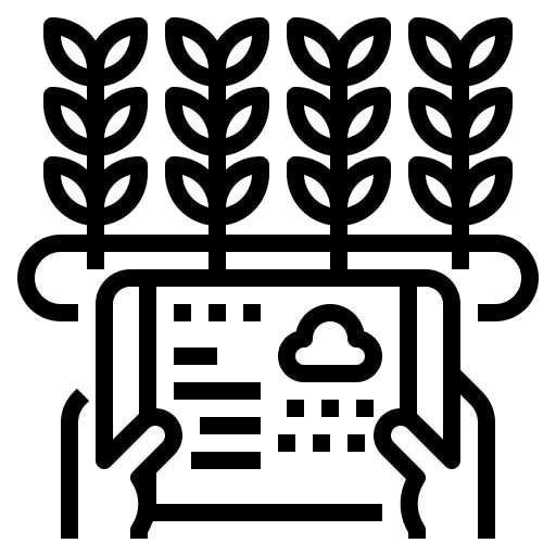 3063633