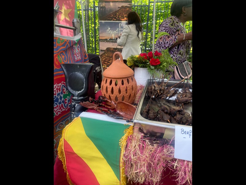 Brazzaville, Republic of congo in sweden